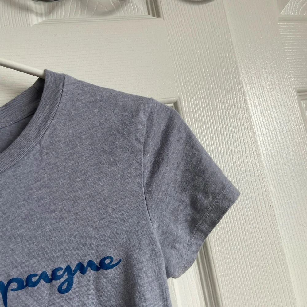 Grey Champagne Crop Top - Picture 4 of 5